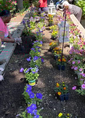 Residents planting flowers in the garden