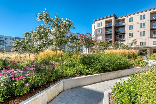 MorningStar Senior Living of Hillsboro