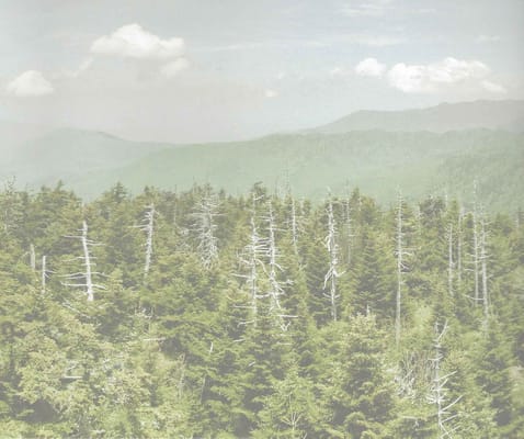 Planet View Assisted Living