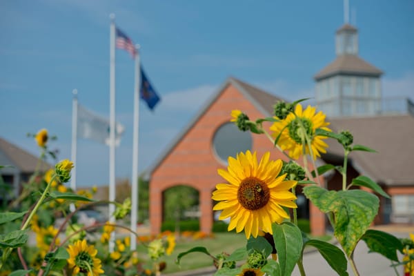 Sunflowers in front of a senior living facility