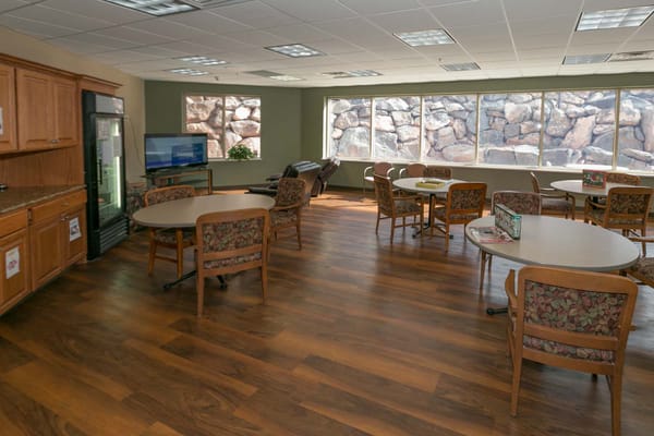 Coral Desert Rehabilitation