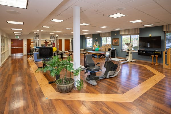 Coral Desert Rehabilitation