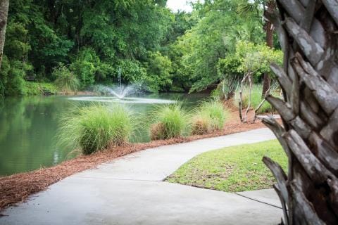 Scenic outdoor pathway with water feature
