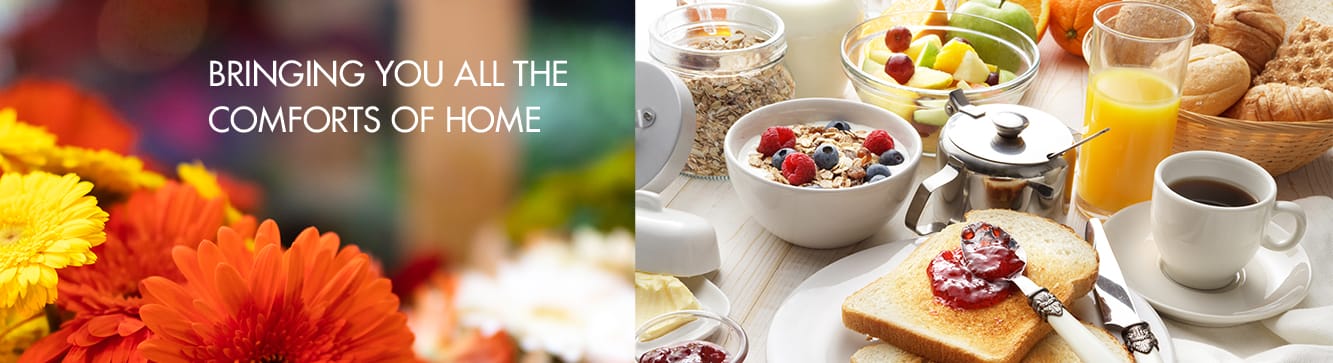 Dobson Plaza Rehabilitation and Healthcare