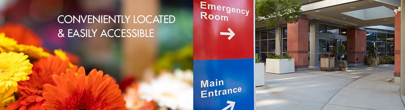 Dobson Plaza Rehabilitation and Healthcare