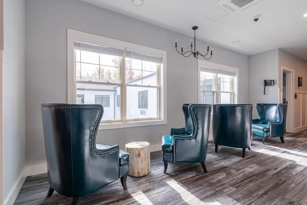Cozy seating area with chairs near a window