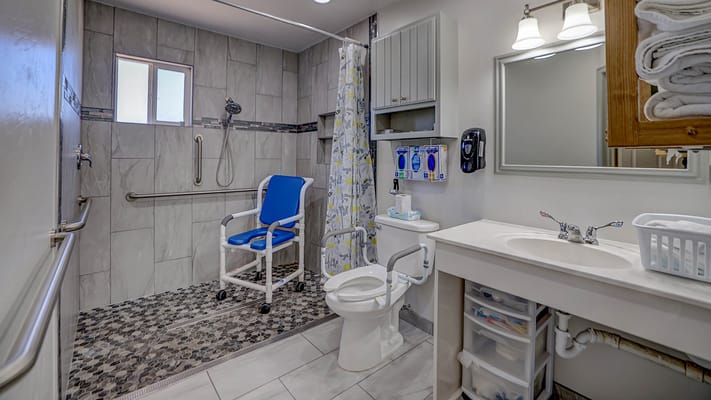 Accessible bathroom with shower and grab bars