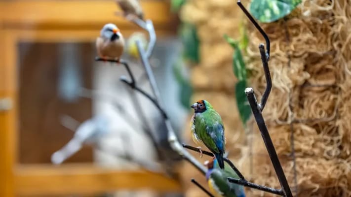 Hillsboro Rehabilitation & Health Care Center