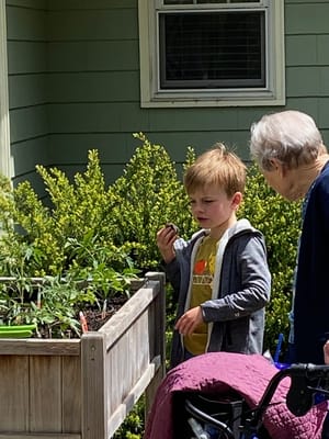 A child and an elderly person in a garden