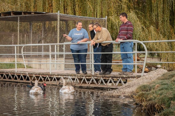 Staff and residents observing geese at a pond