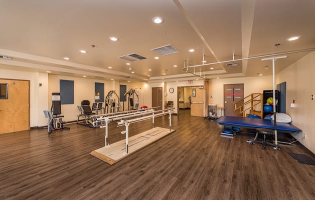Well-equipped rehabilitation gym with various exercise equipment