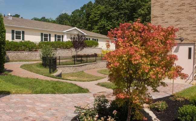 Outdoor landscaped area with pathways and greenery