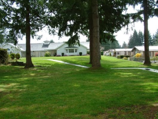 Spacious outdoor area with green lawn and trees