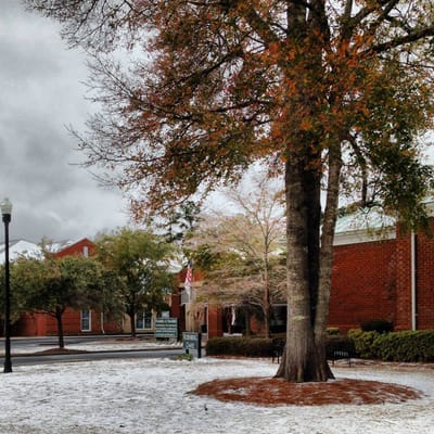 Outdoor view of the facility with trees and signage