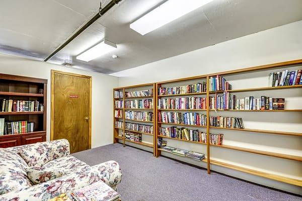 Cozy library lounge with bookshelves and floral couch