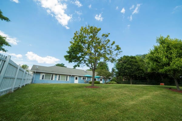 Outdoor space with trees and a lawn