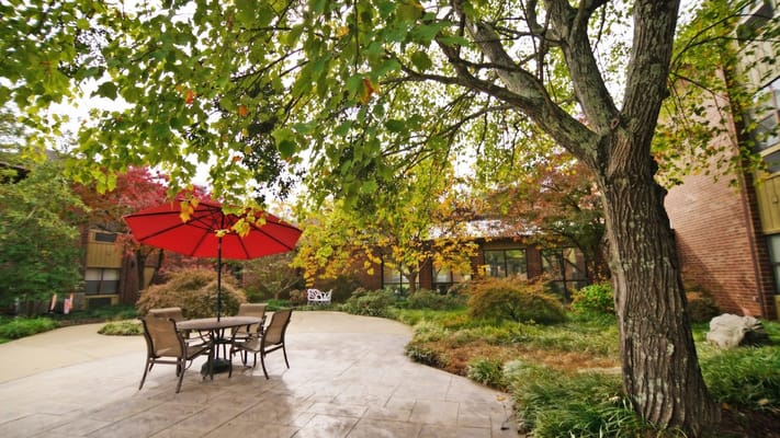 Garden area with seating under a red umbrella