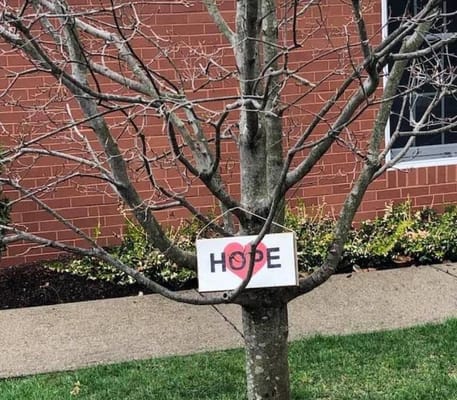 A sign with the word 'HOPE' on a tree