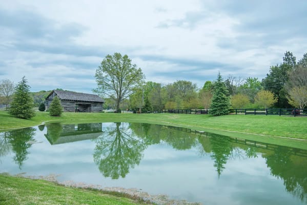 Scenic outdoor area with a pond and trees