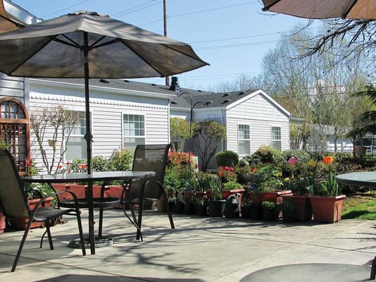 Outdoor patio area with flowers and seating