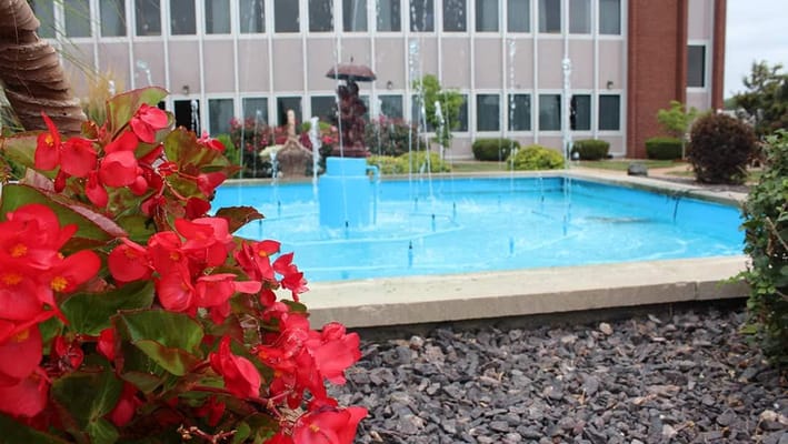 Flowering plants beside a fountain at Sunset Home Assisted Living.