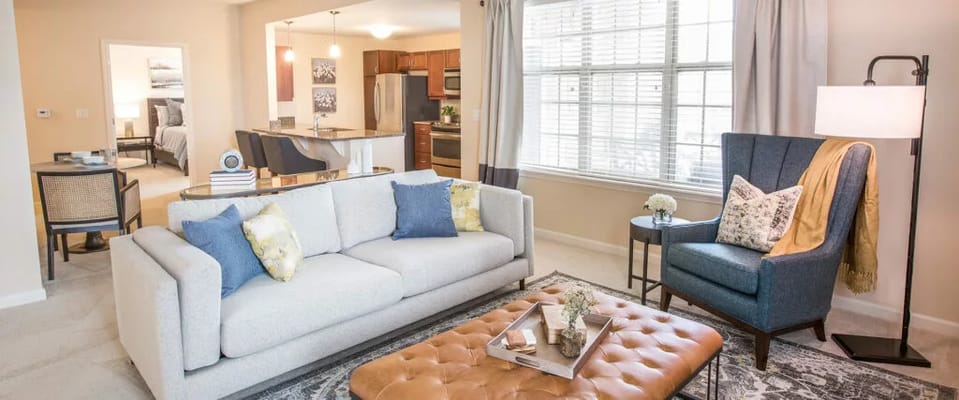Cozy living room with gray sofa, blue armchair, and natural light
