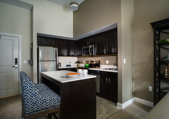 A well-equipped kitchen with dark cabinets and modern appliances.