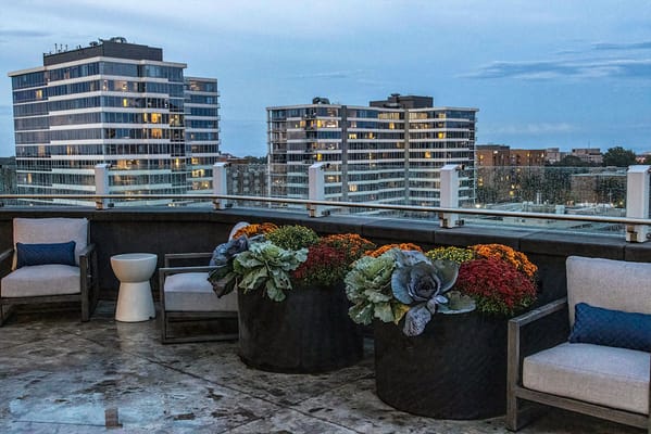 Rooftop seating area with flowers and city skyline in the background