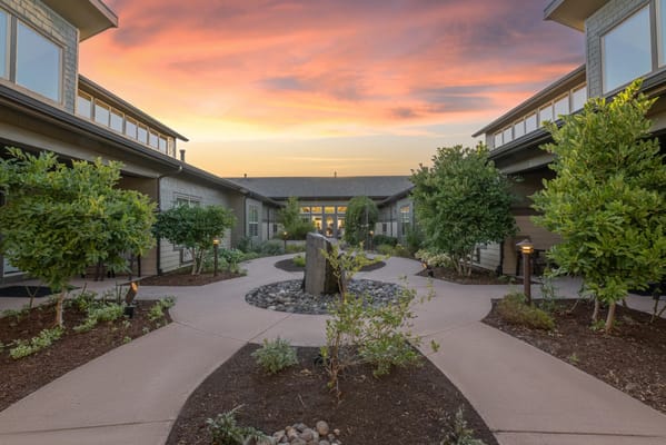 Scenic outdoor courtyard with pathways and plants
