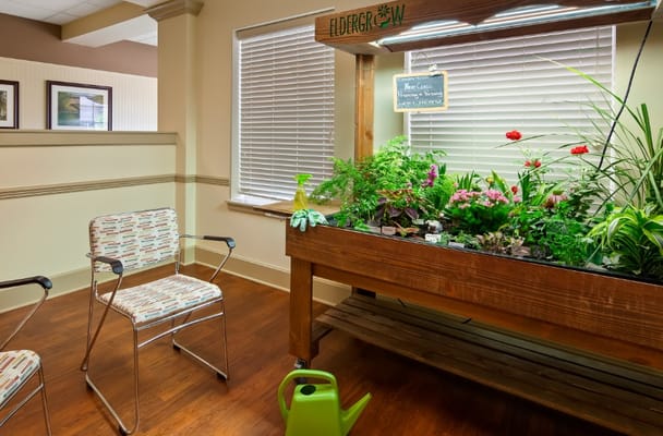 Indoor gardening space with a plant display and chairs