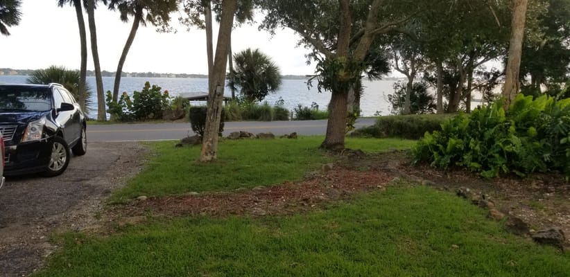 View of a waterfront area with trees and grass