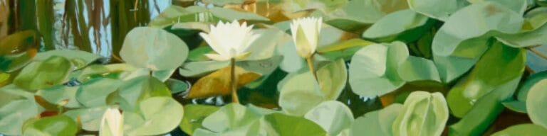 Huntsville Hospital Hospice Family Care