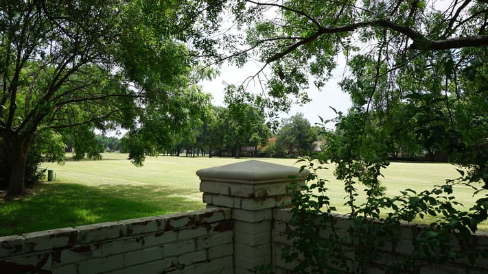 A view of a grassy outdoor space surrounded by trees