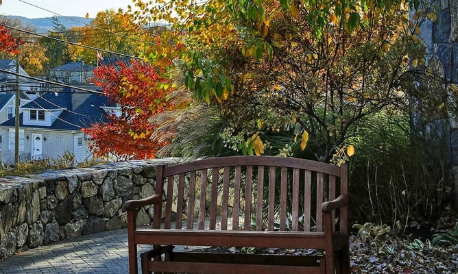 Outdoor seating area with colorful trees in autumn