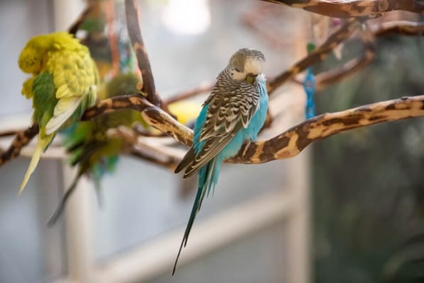 Life Care Center of North Glendale