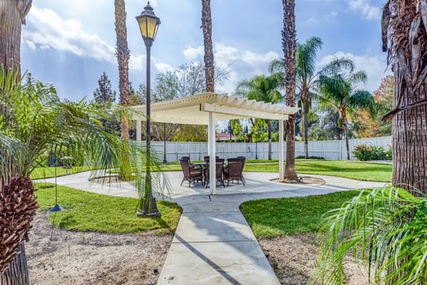Outdoor seating area with a pergola and palm trees