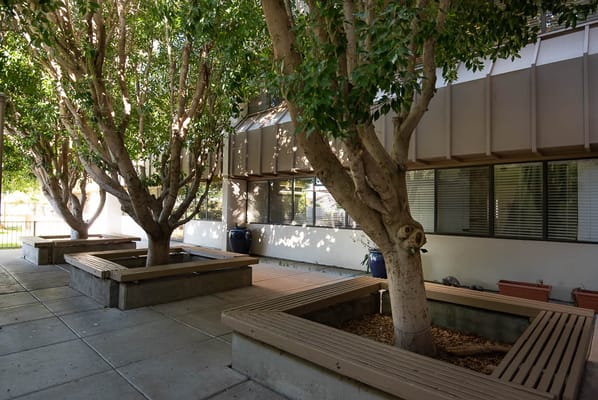 A serene outdoor space with trees and benches