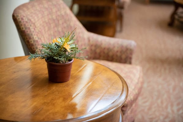 A potted plant on a table in a common area