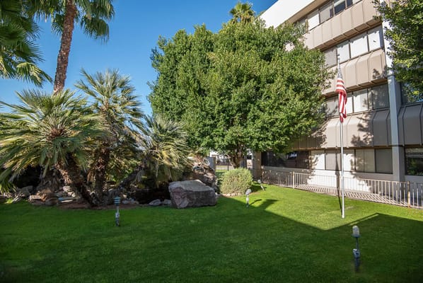 Outdoor area with palm trees and grass at the facility