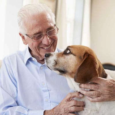 Gables at East Mountain