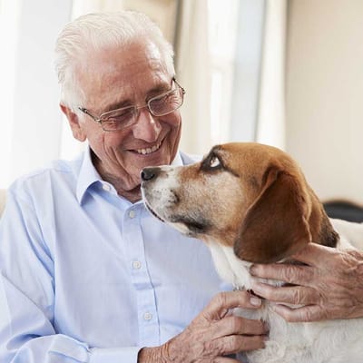 Senior man interacting with a dog