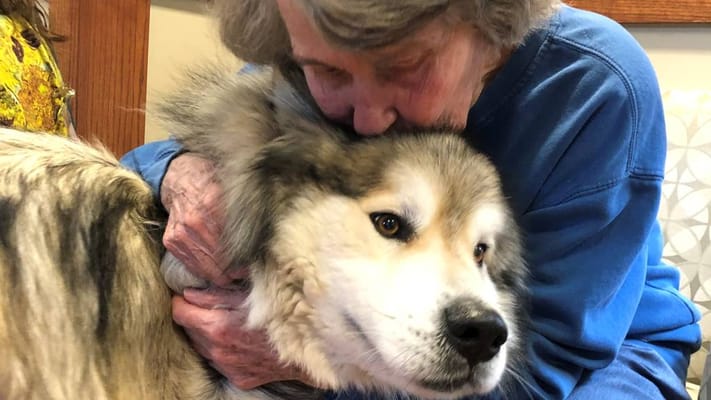 Resident gently hugging a dog in a cozy setting