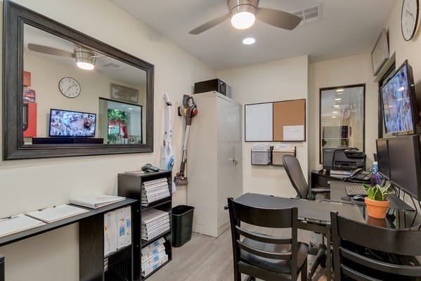 An interior view of an office space with desks and decorations
