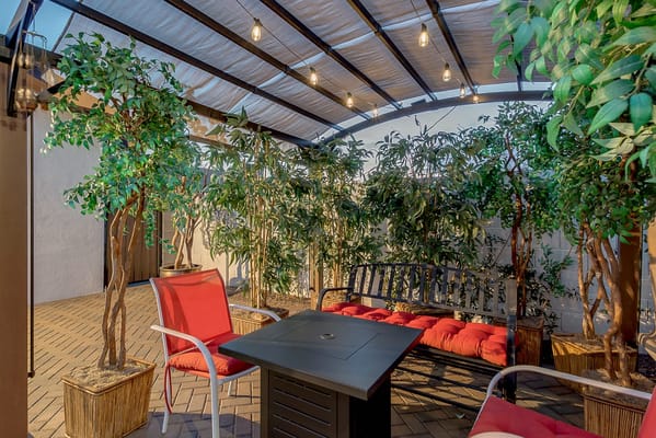 Cozy outdoor seating area with plants