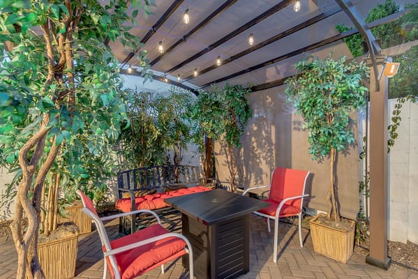 An outdoor seating area with plants and lights