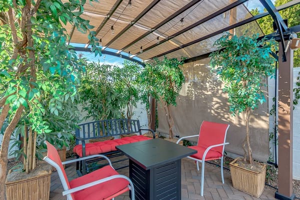 Outdoor seating area with greenery and comfortable furniture