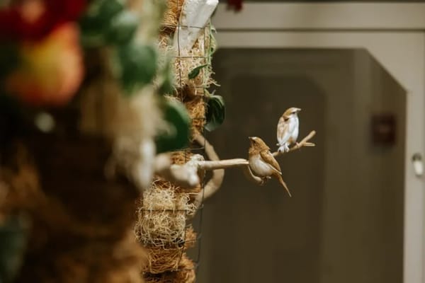 Springwood Retirement Campus