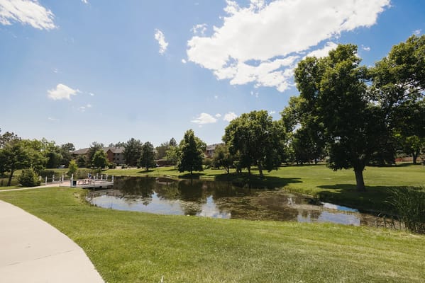 Scenic view of a pond surrounded by lawns and trees