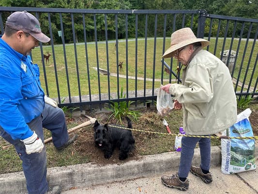 Resident interacting with a dog in the garden