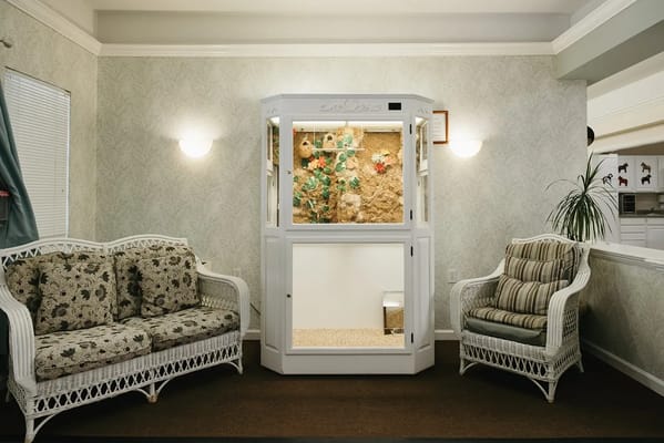 Cozy common area with decorative shelving and seating